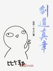 剑道真章