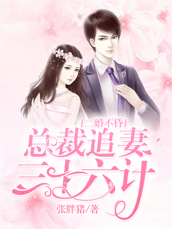 二婚不昏总裁追妻三十六计