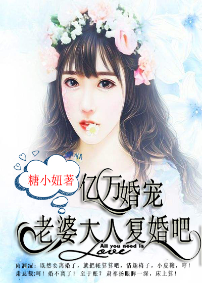 亿万婚宠老婆大人复婚吧