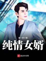 纯情女婿