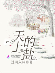天上的盐
