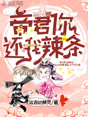 帝君你还我辣条