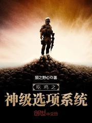 吃鸡之神级选项系统