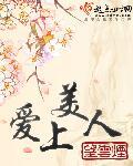 国术的系统小说