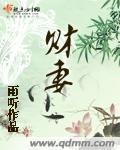 英雄无敌7小说