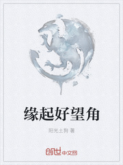 缘起好望角
