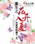 城市题材的小说