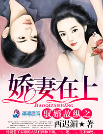 情意生动小说