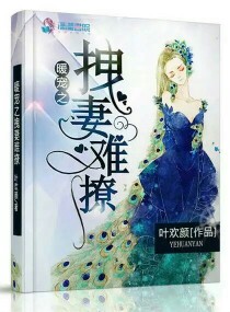 暖宠之拽妻难撩