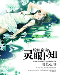 王宛平小说