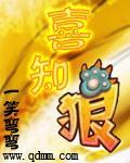 沈辰 小说