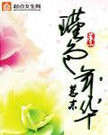 荒岛求生日记小说
