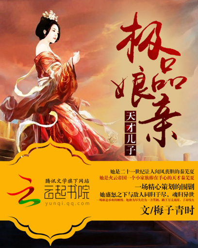 天才儿子极品娘亲