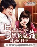 与黑豹总裁同居的日子