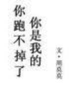 【你跑不掉了你是我的全文试读精彩阅读精彩章节】主角晓婕小雅