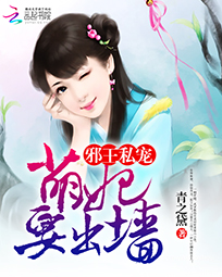 后宫火影小说