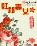 网络主播小说