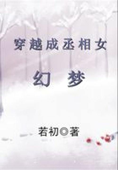 类似当当的小说