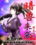 岳晚星小说