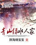 京城红小说