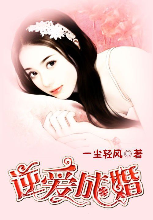 待他乘风归来小说
