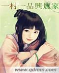 清朝皇后小说