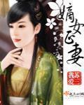 李慕枫小说