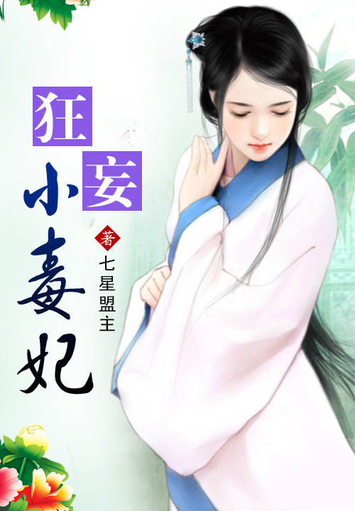 战王妃小说