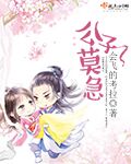 公子莫急