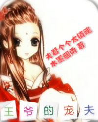 王爷的娇夫:夫君太妖娆