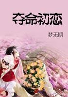 香克斯的同人小说