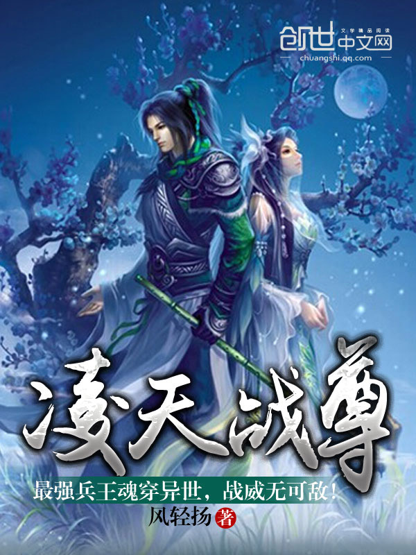 风华无双的小说
