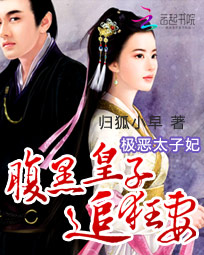 极恶太子妃：腹黑皇子追狂妻