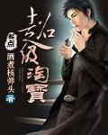 愿得一人心 小说