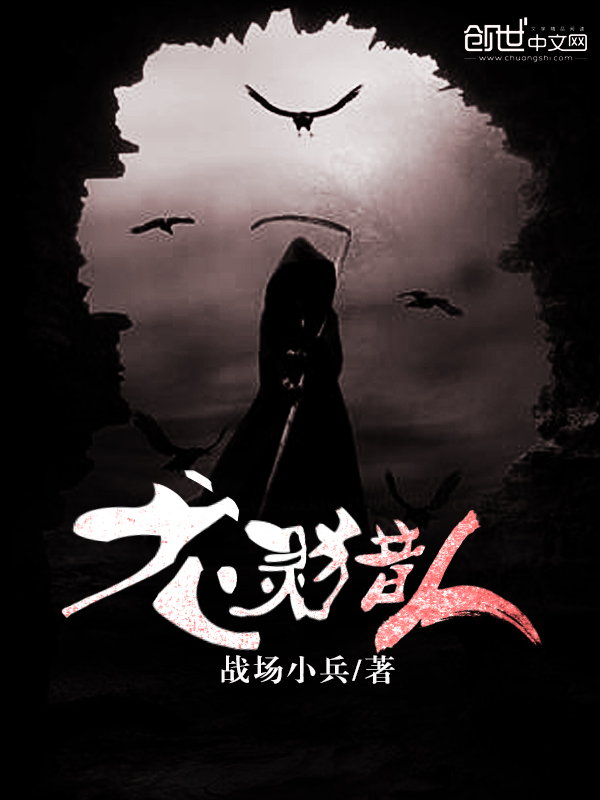 主角是林锋的小说