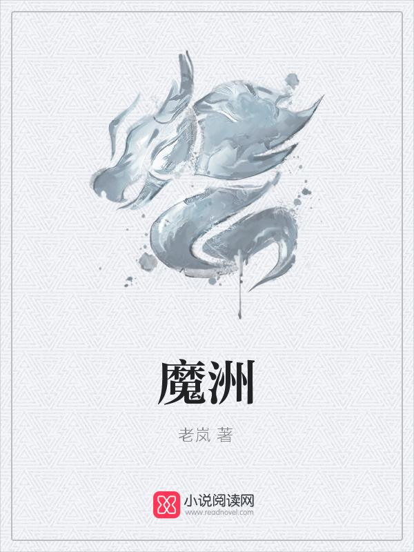 老岚