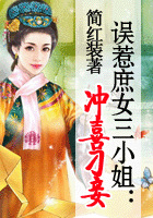 冉苏苏的小说