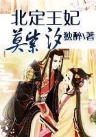 北定王妃莫紫汐