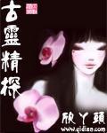 海贼王情感小说