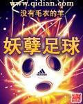 没有毛衣的羊