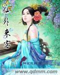 钟爱寂静
