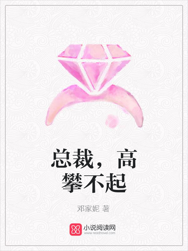 总裁，高攀不起