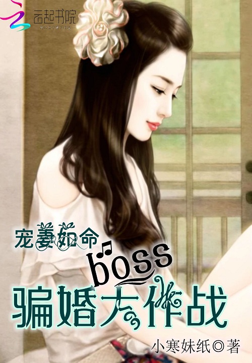 尘炉小说