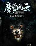 赤云小说
