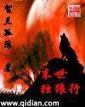 《末世独狼行》主角沈言峰在线试读大结局精彩章节