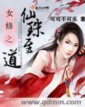 直播寻宝小说