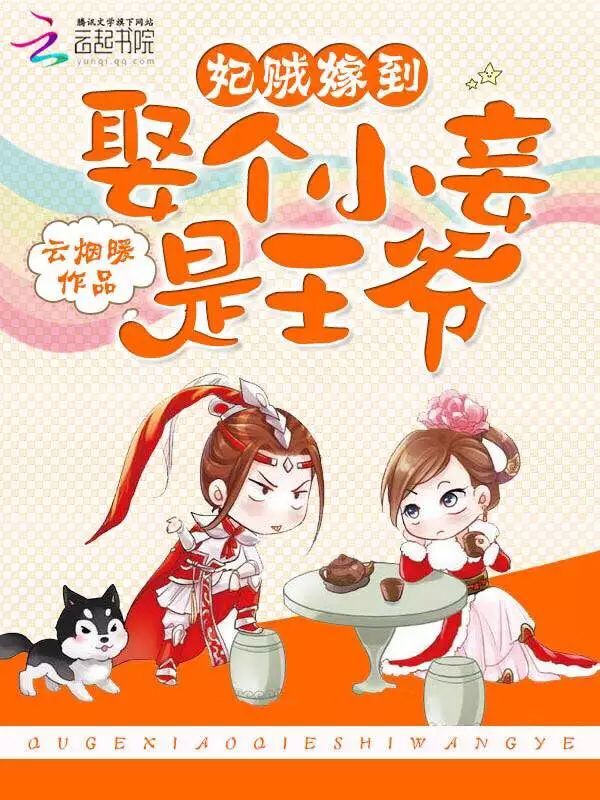 妃贼嫁到：娶个小妾是王爷