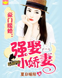 豪门暖婚：高冷老公天价妻