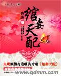 绾妻天配
