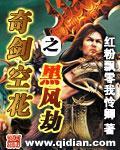 红粉飘零我怜卿